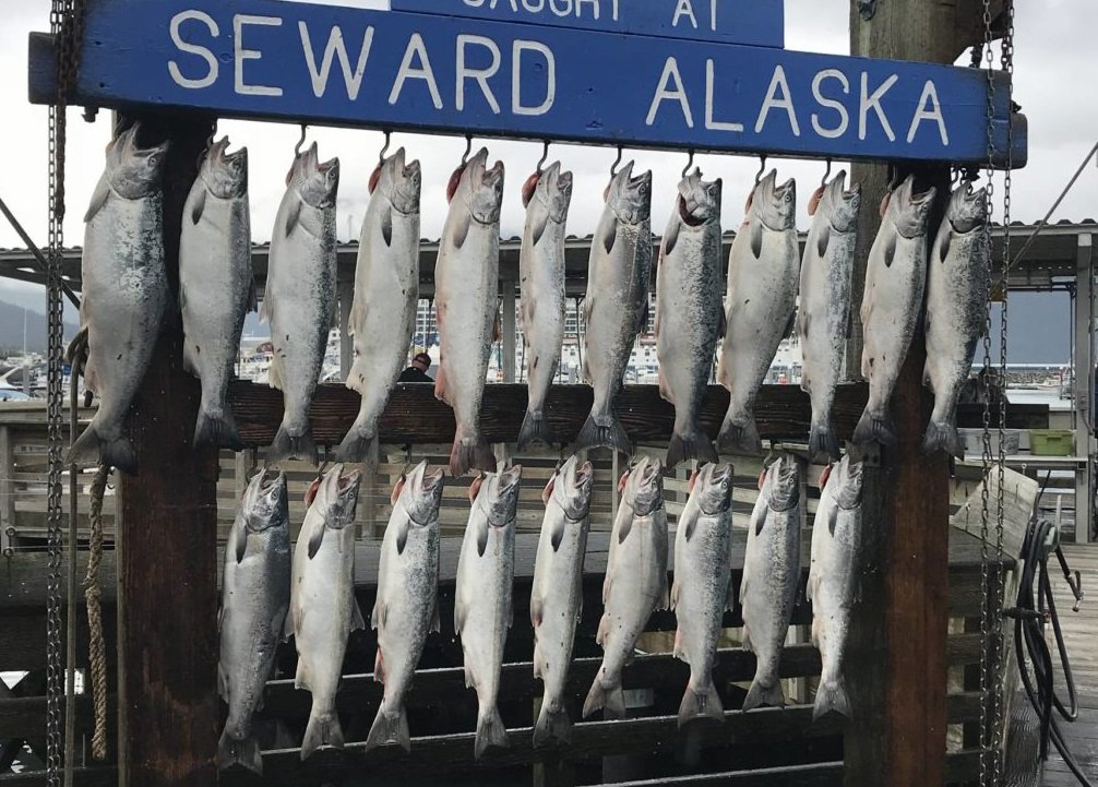 Seward Silver Salmon Derby Publication Consultants
